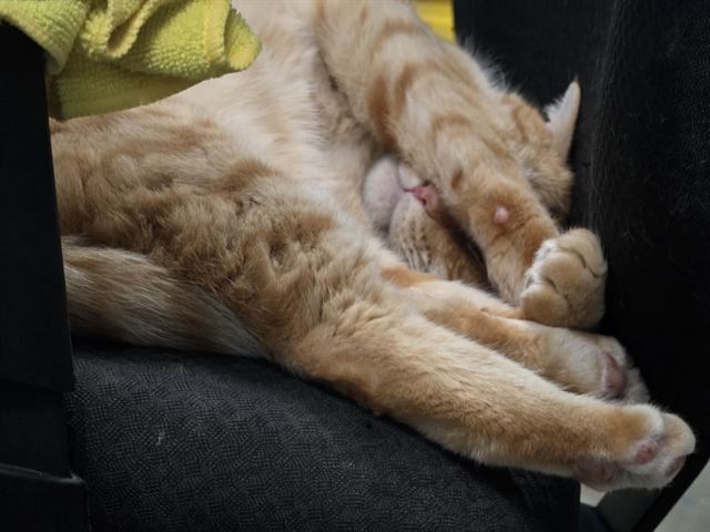 Finn: Off duty. Do not disturb.
