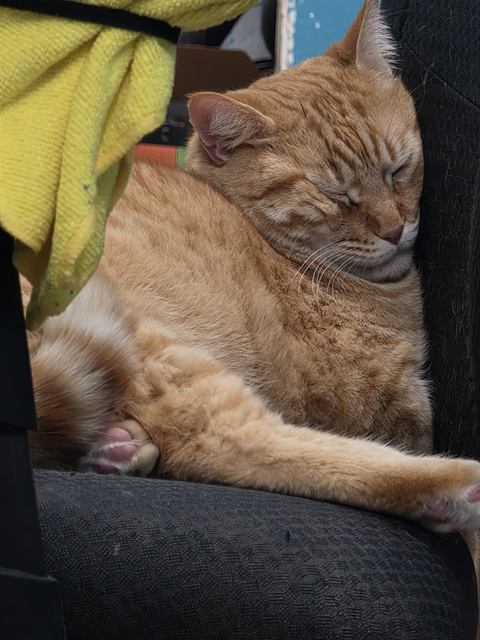 Finn: Five more minutes.