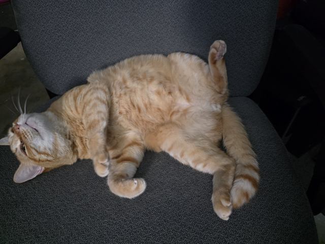 Finn: It's his chair now.