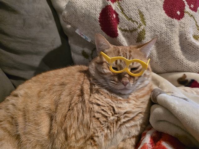 Finn: Professor Finn will see you now.