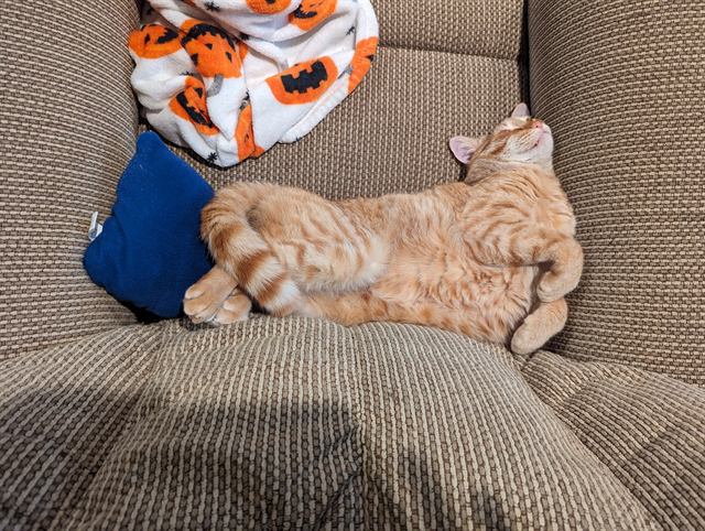 Finn: Melted.