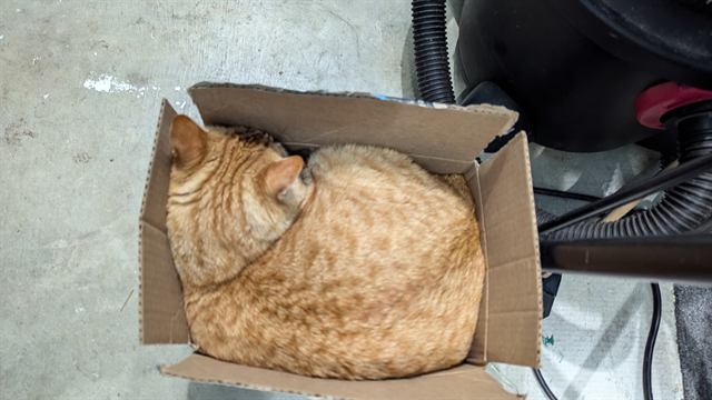 Finn: The box was for him all along.
