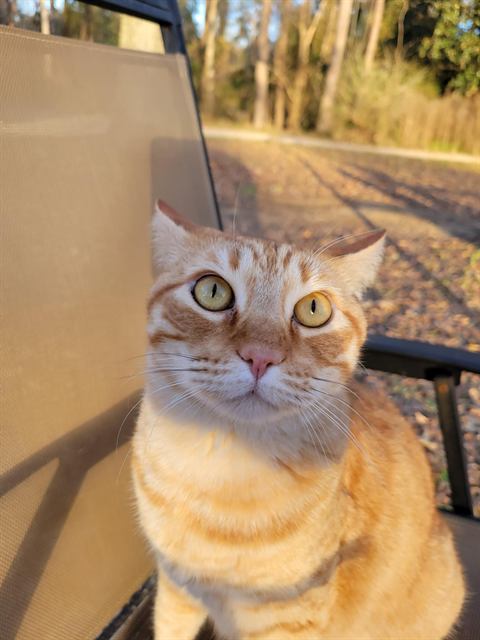 Finn: Wide-eyed and ready for his close-up.